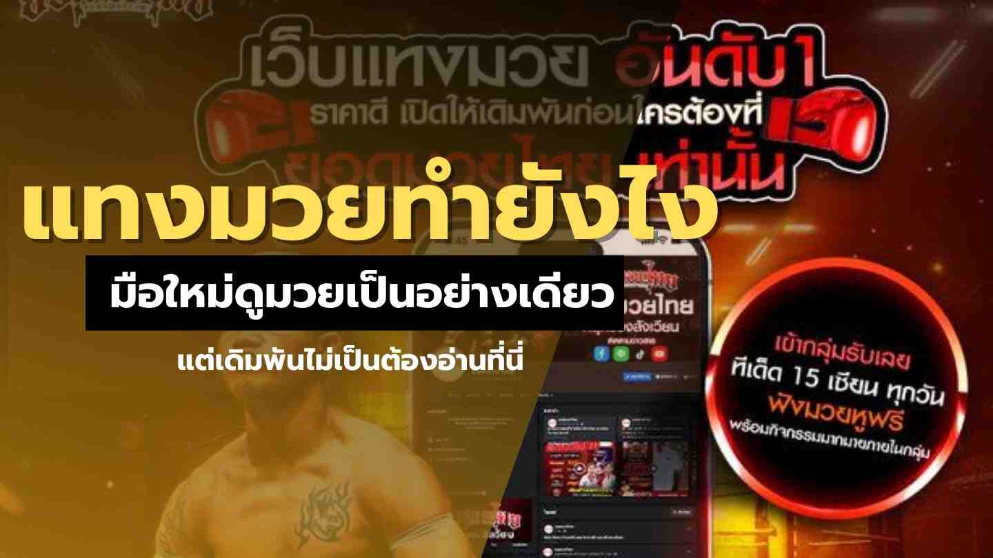แทงมวยทำยังไง